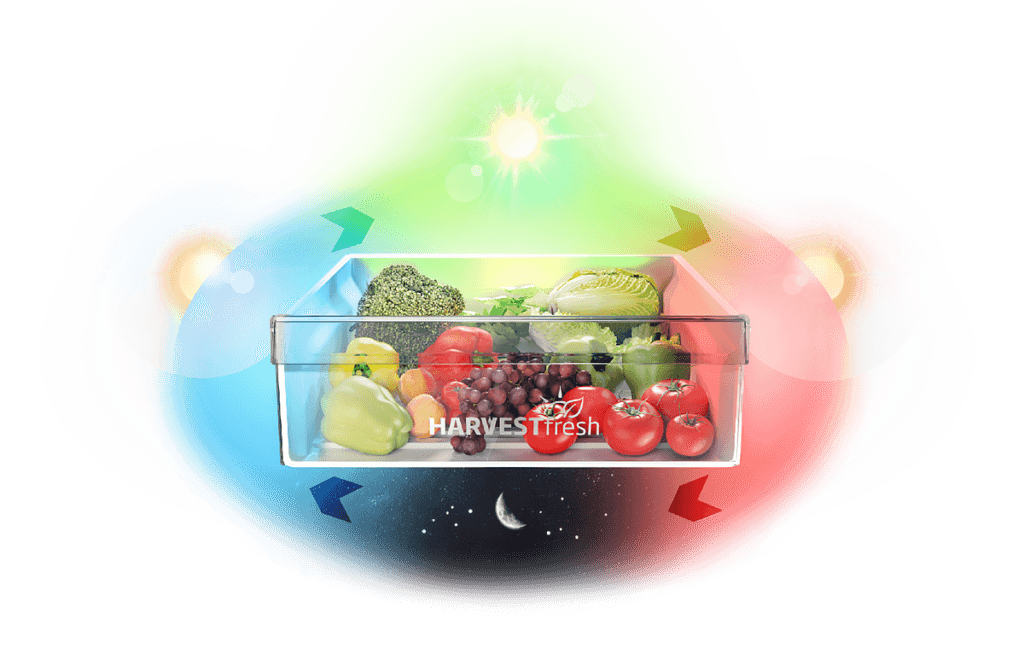 beko1-1024x648.png