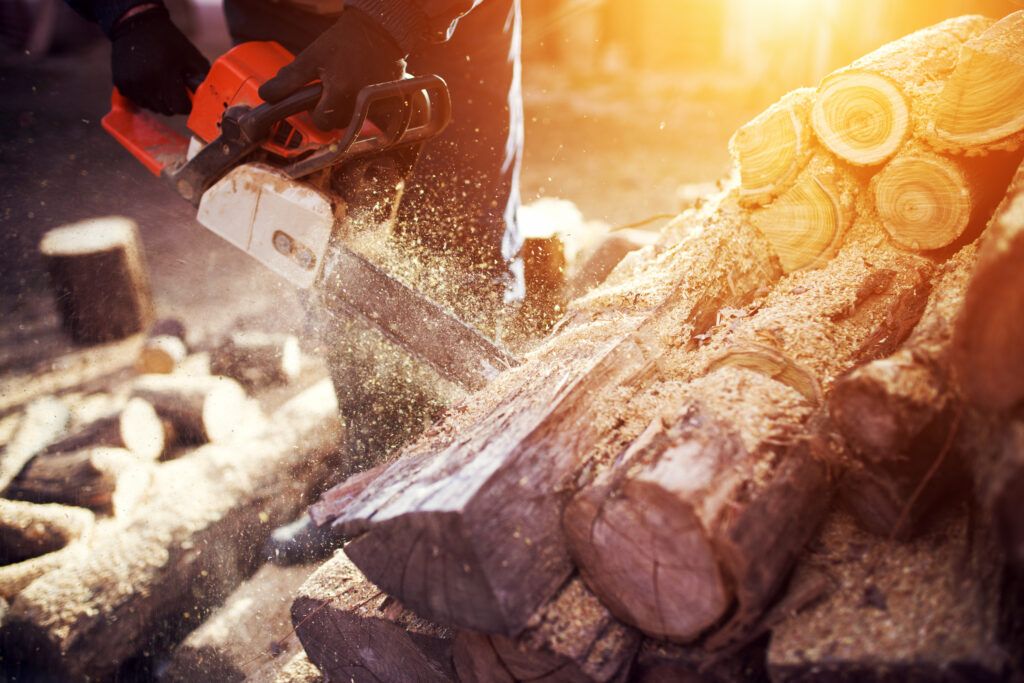 cutting-wood-with-chainsaw-backyard-lumberjack-work-profession-1024x683.jpg