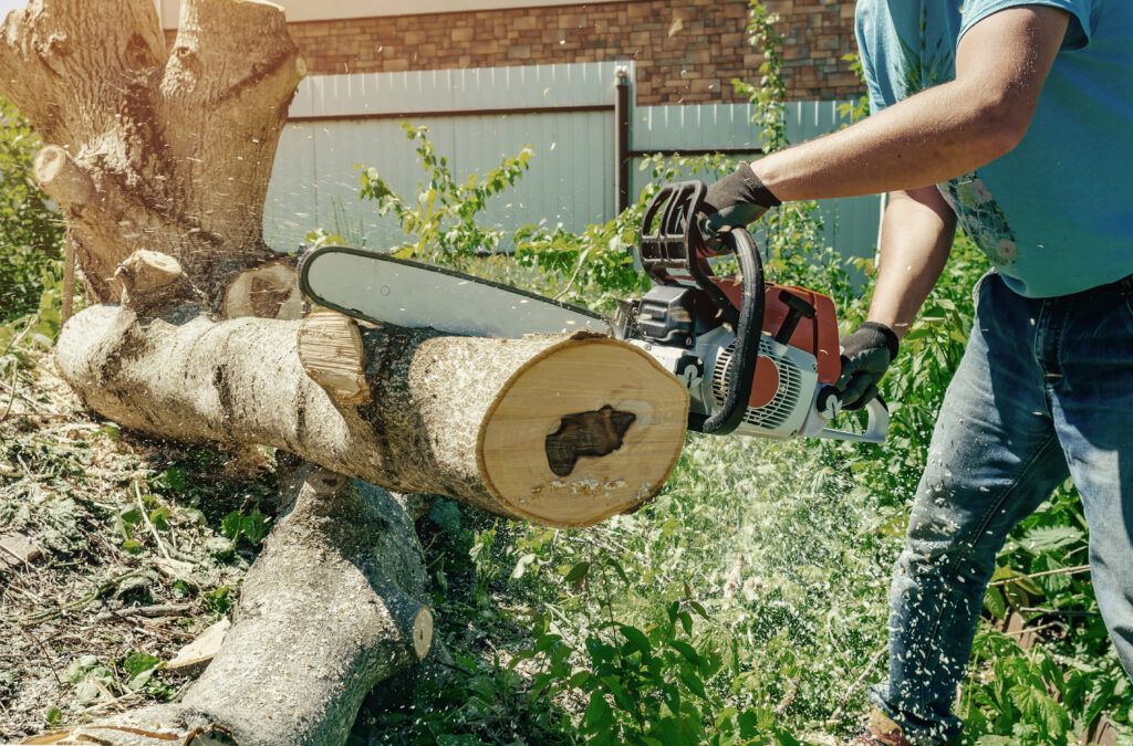 male-worker-cuts-wood-with-electric-chainsaw-1024x675.jpg