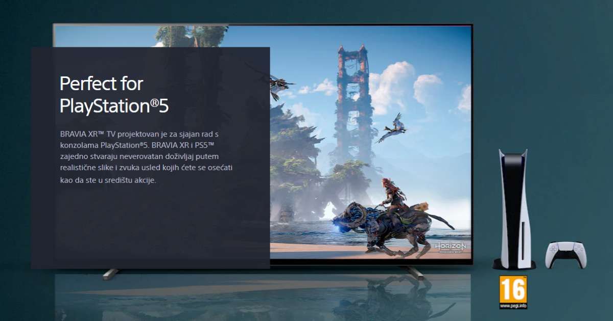 bravia_4.jpg