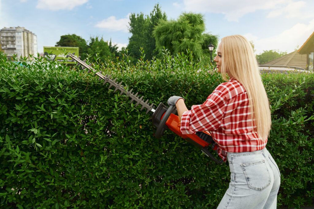 woman-pruning-hedge-with-modern-gardening-tool-1024x683.jpg