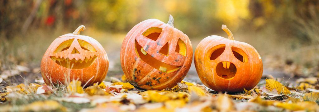 three-cute-halloween-pumpkins-autumn-park-1024x361.jpg