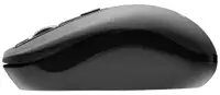 MS FOCUS M310 Black