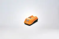 VILLAGER ZEN punjac 40V 2A