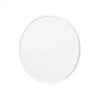 XIAOMI Smart Ceiling Light D20
