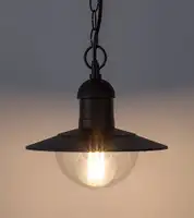 RABALUX Oslo spoljna Visilica E27 60W crno IP44