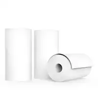 AGFAPHOTO Thermiqueprint paper BI 10YPP 3 rlx