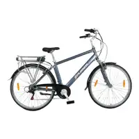 XPLORER E BIKE SILVER LINE 26"