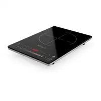 TESLA IC400B