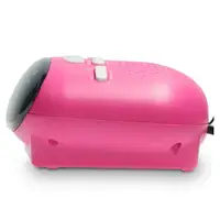 LENCO Ices ICR-210 Pink