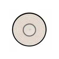 RABALUX Sedona2 plafonjera LED24W D39 5cm