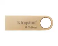 KINGSTON 256GB DTSE9G3/256GB
