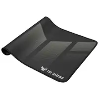 ASUS TUF GAMING P1