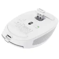 TRUST OZAA Wireless Mouse White