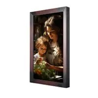 KODAK WF215 Brown
