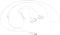 SAMSUNG Earphones USB-C White EO-IC100-BWE