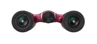 NIKON ACULON T02 8X21 RED  BAA860WA
