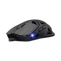 WHITE SHARK WGM 5019 DAGONET, BT/Wireless Mouse Black