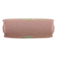 JBL Flip 7 Pink