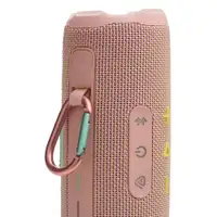 JBL Flip 7 Pink