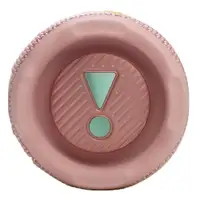 JBL Flip 7 Pink