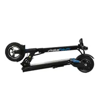 SKATEFLASH Echo