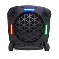 BLAUPUNKT Partybox PB100X