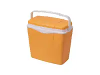 ANTARCTICA 24L Marigold