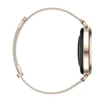 HUAWEI Watch GT 6 41mm Gold Milanese