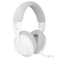 WHITE SHARK WGH 2441 FALCON White/Gray,