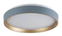 RABALUX Liatris2 plafonjera LED24W D38 5cm