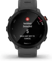 GARMIN Forerunner 55 Monterra Grey