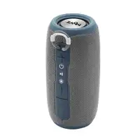 MOYE Pop Vibe Bluetooth Speaker Gray