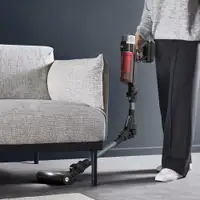 ROWENTA RH2098 X-Force Flex 9.60