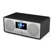 PANASONIC RF-D40EG-K