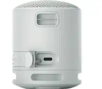 SONY SRSXB100H.CE7