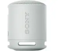 SONY SRSXB100H.CE7