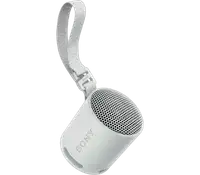 SONY SRSXB100H.CE7
