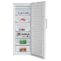 BEKO RFSA 240 M21 W