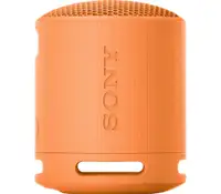 SONY SRSXB100D.CE7