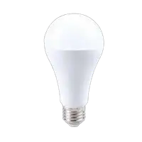RABALUX LED sijalica E27 A65, 22W, 2450lm, 4000K