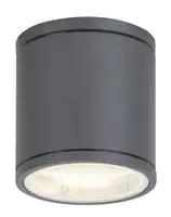 RABALUX Akron spoljna zidna lampaGU10 35W sivo IP54 2