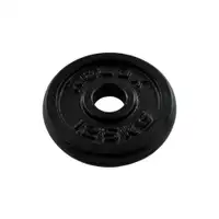 RING RX PL01-1,25