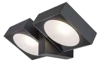 RABALUX Telde, LED spoljna zidna sa rotirajucom glavom, aluminium antracit siva, 14W, 900lm (bez dif. 1620lm), 3000K