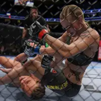 SONY PS4 UFC 4