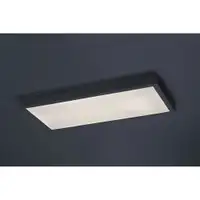 RABALUX Damek2 plafonjera LED24W 60x30cm