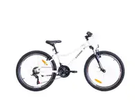 24" CROSS DAISY 2026 / White