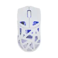 WHITE SHARK WGM 5019 DAGONET, BT/Wireless Mouse White