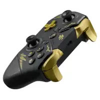 FLASHFIRE Swingpad Black