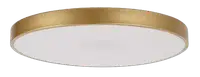 RABALUX Tesia plafonjera zlatna 60W 3600lm, 3000+6000K, D60cm dimabilna IP21